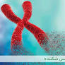 پاورپوینت تاریخچه سندرم  X شکننده